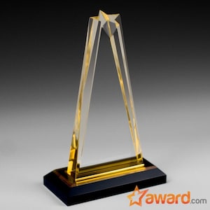 May include: A gold acrylic award with a star on top and a black base.