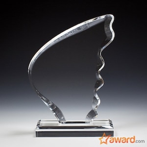 Peut inclure: Un trophée de récompense en verre transparent avec un design abstrait unique. Le trophée a une forme incurvée en forme d'aile et une base rectangulaire.