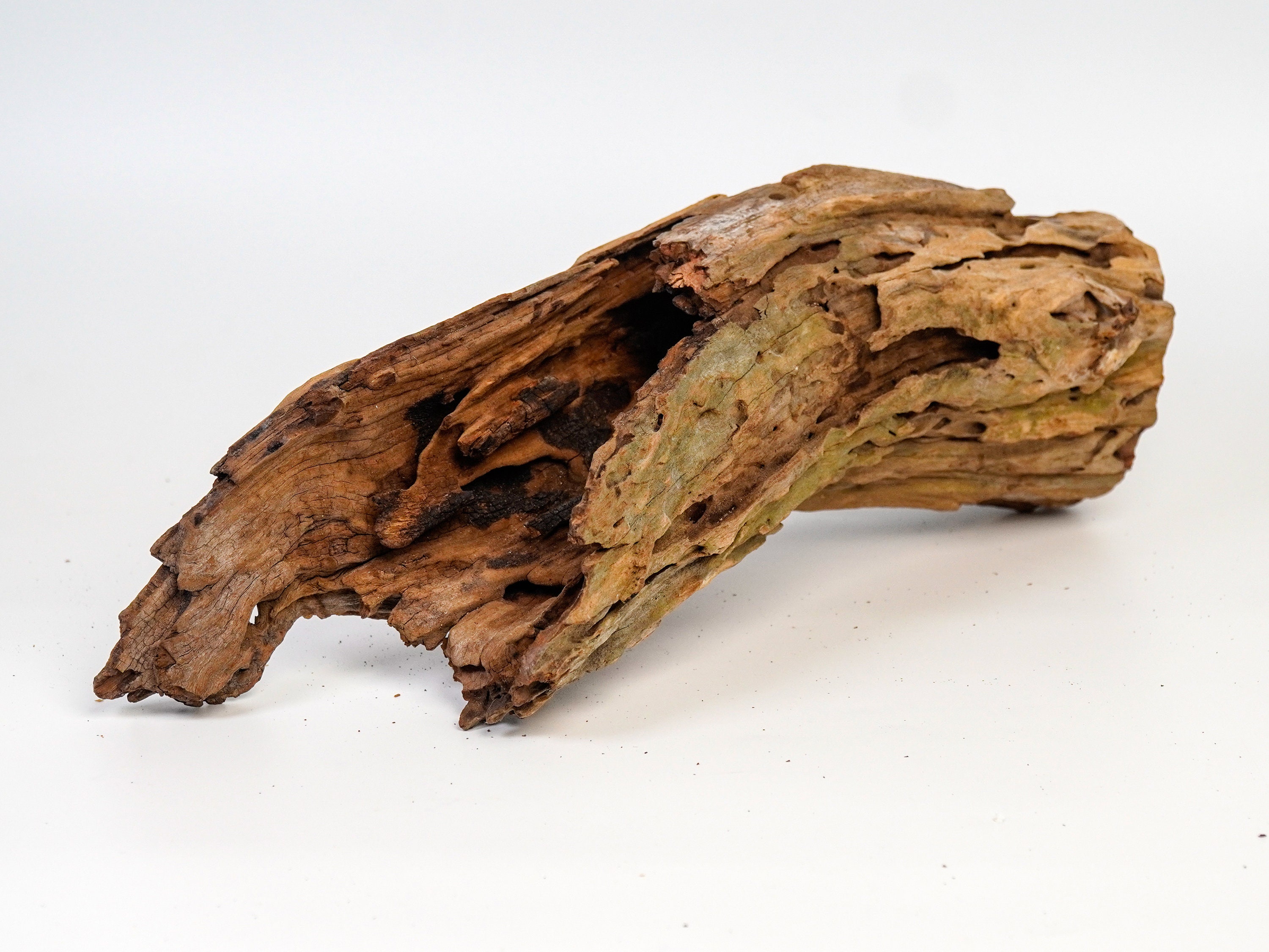 Tfwadmx 5PCS Aquarium Driftwood Branches 4''-7.8'' Reptiles Trunk Natural Wood Fish Tank Decoration Plant Stump Ornament Decor Assorted For Sale | Las Vegas, NV | Nellis Auction