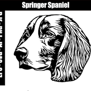 Springer Spaniel SVG, AI, jpg, png, eps - Digital Download - Cut file - SVG for cutting engraving or printing - Springer Spaniel Clip Art