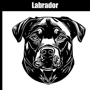 Labrador Retriever SVG, AI, jpg, png, eps - Digital Download - Clipart - Cutfile - SVG for cutting engraving or printing
