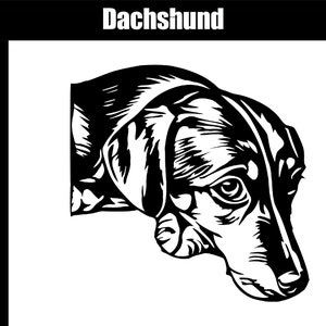 Dachshund SVG, AI, jpg, png, eps - Digital Download - Cut file - SVG for cutting engraving or printing - Dachshund Clip Art