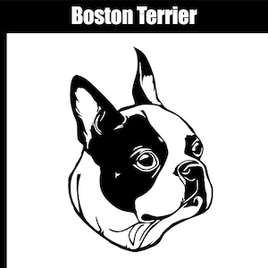Boston Terrier SVG, AI, jpg, png, eps - Digital Download - Cut file - SVG for cutting engraving printing - Boston Terrier Clip Art Graphic