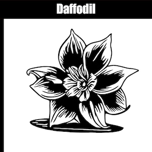 May include: Black and white line art illustration of a daffodil flower. The flower has six petals and a central cup. The flower is drawn in a simple, stylized manner.