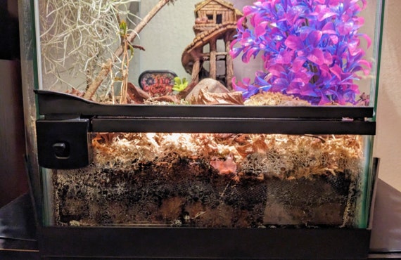 Bioactive vivarium kit sale