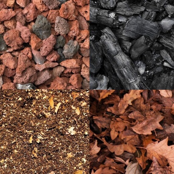 Bioactive Kit Terrarium Leaf Litter Charcoal Bioactive Substrate Lava Rock Bioactive Vivarium Reptile Tank Self Sustaining Etsy