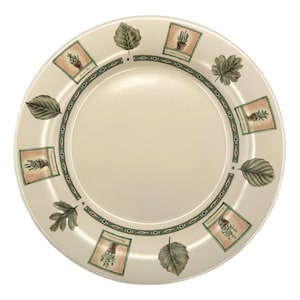 Vintage Pfaltzgraff Naturträ Stengods 28 cm djup middagstallrik