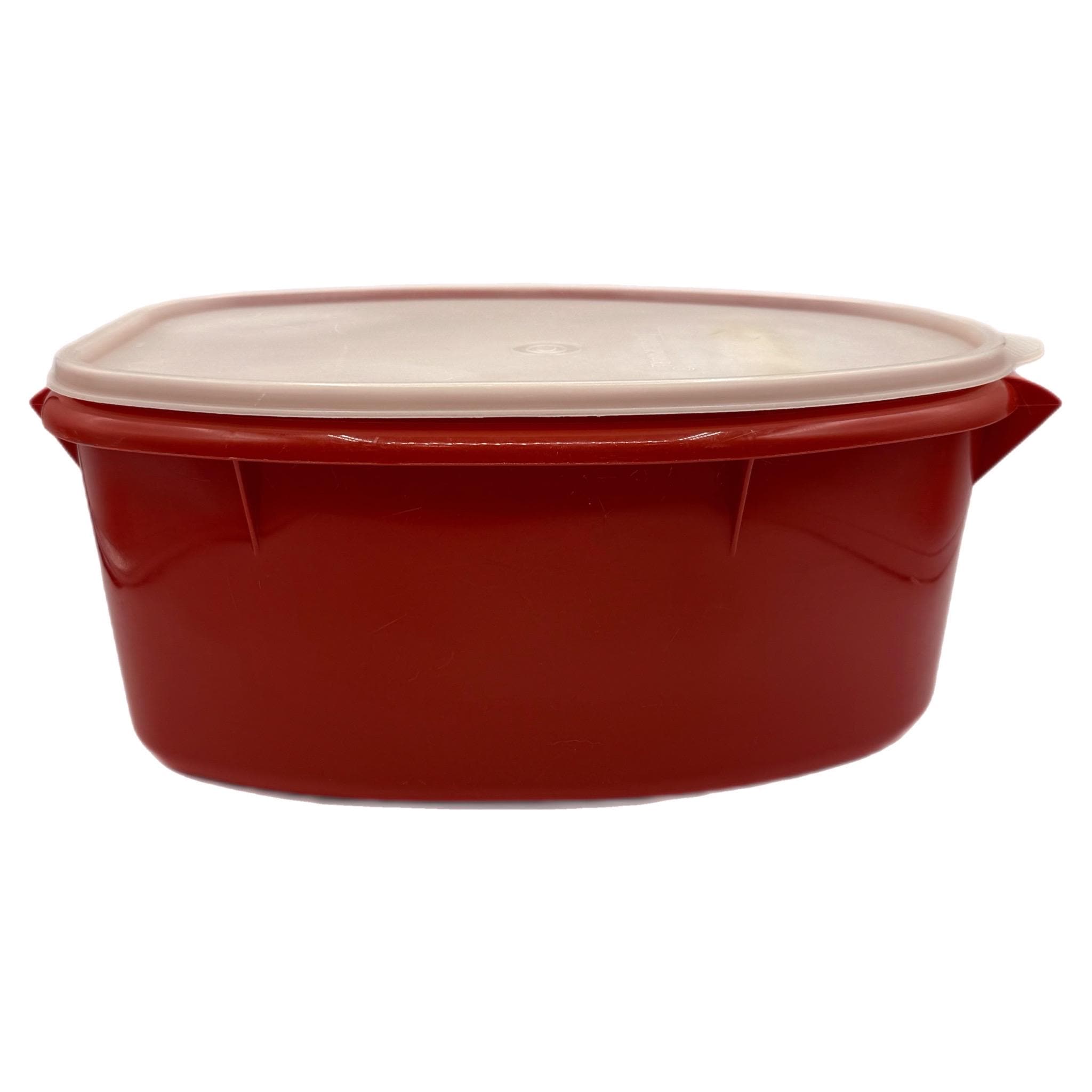 2-piece Vintage Tupperware Roast Flavor Saver Food Storage