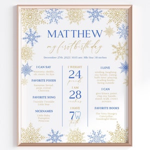 Winter Onederland Milestone Sign, Blue Gold Snowflakes Birthday Poster, Winter Wonderland 1st Birthday Boy Milestone Board I039