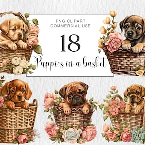 Vintage Puppy clipart Watercolor Dogs in a Basket Clipart, Vintage Puppy in Basket png, Dogs with flowers Clipart, Instant Download