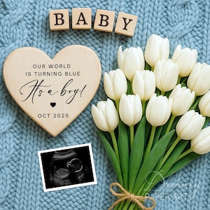 Modèle de toile pour faire-part de grossesse, bébé garçon numérique, faire-part de bébé modifiable, c'est un garçon Tulipes bleues, médias sociaux