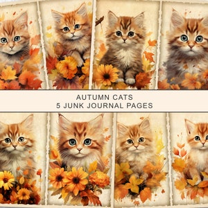 May include: Five junk journal pages showcasing illustrations of ginger kittens amidst autumnal foliage and flowers. The text "AUTUMN CATS 5 JUNK JOURNAL PAGES" is displayed across the center of the image, perfect for crafting projects.