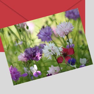 Cartão de felicitações com flores silvestres, cartão floral estiloso para impressão, aniversários, parabéns, carta dos EUA, cartão de felicitações em branco 7x5, DOWNLOAD DIGITAL