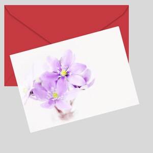 Tarjeta de felicitación con flores moradas, imprimible, floral, para cumpleaños, para que te mejores, tarjeta de felicitación A4, tamaño carta (EE. UU.), en blanco, 7x5, descarga digital
