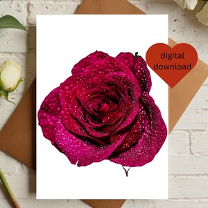 Tarjeta de felicitación con rosa roja, tarjeta imprimible de felicitación de cumpleaños, tarjeta de felicitación de mejórate, tamaño A4, tamaño carta de EE. UU., tarjeta de felicitación en blanco, 5x7, descarga digital