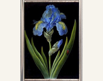 Blue Iris Art Print, Still Life Digital Download, Flowers Gallery Wall Exhibition Poster, PRINTABLE Eclectric Wall Art, DIGITAL DOWNLOAD