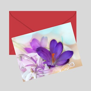 Printable Card, Greeting Card Crocus Lily, Floral Mom Birthday Card, Congratulations A4 US Letter Blank Greeting Card 7x5, DIGITAL DOWNLOAD