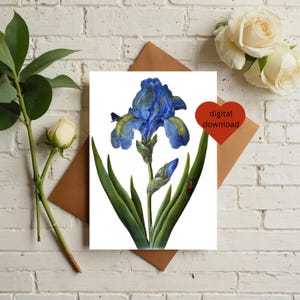 Printable Card, Greeting Card Iris Flower, Birthday Card, Congratulations A4 US Letter Blank Multipurpose Flower Card 5x7 DIGITAL DOWNLOAD