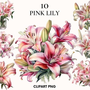 Clipart de lírio rosa, clipart de flor, clipart de casamento, clipart floral, impressão botânica, lírio aquarela, PNG para impressão, álbum de recortes