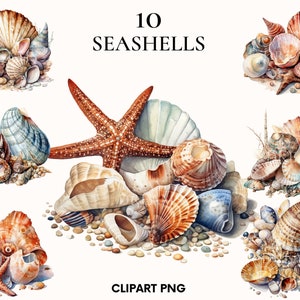 Aquarelle coquillage clipart, clipart plage, bundle clipart nautique, clipart océan, clipart mer, Scrapbook, coquillage png, fabrication de cartes