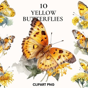 Aquarell Schmetterling Clipart, süße Schmetterling Clipart Bundle, Frühling Motte Clipart, gelber Schmetterling png, Blume Clipart, Junk Journal