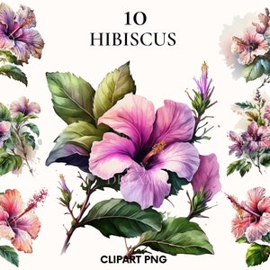 Hibiskus Clipart, Aquarell Hibiskus png, Fantasy exotische Blumen Clipart, Instant download, Junk Journal, Scrapbook, Hochzeit Clipart