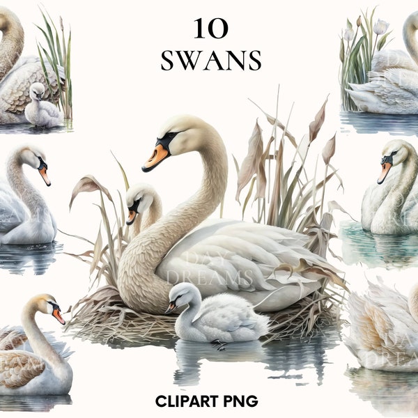 Watercolor swan clipart, Sweet baby swan clipart, Bird clipart, Woodland animal clipart, Nursery clipart, Printable PNG, Paper craft