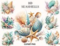Watercolor seashell clipart, Beach clipart, Nautical clipart bundle, Ocean clipart, Sea clipart, Scrapbook, Seashell png, Card making