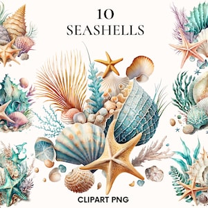 Aquarelle coquillage clipart, clipart plage, bundle clipart nautique, clipart océan, clipart mer, Scrapbook, coquillage png, fabrication de cartes
