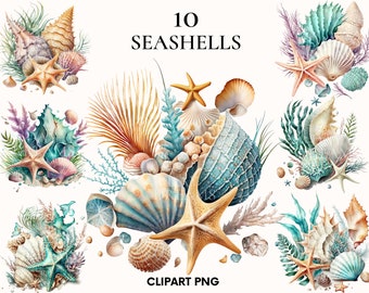 Watercolor seashell clipart, Beach clipart, Nautical clipart bundle, Ocean clipart, Sea clipart, Scrapbook, Seashell png, Card making