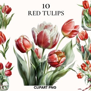 Watercolor red tulips clipart, Spring flowers clipart bundle, Flower petals, Red flower clipar, Printable, Card making, Scrapbooking