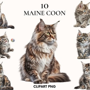 Maine Coon Clipart, Aquarell Katze Clipart Bundle, Kätzchen Clipart, Maine Coon Kätzchen, Kartenherstellung, Maine Coon png, Katzenliebhaber, Junk Journal