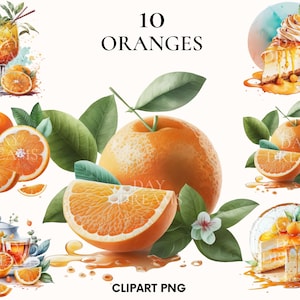 Watercolor oranges clipart, Orange dessert clipart bundle, Ice cream clipart, Orange png, Fruit clipart, Fruit illustration, Card making