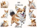Watercolor corgi clipart, Cute puppy corgi bundle, House pet animal, Watercolor dog clipart, Printable PNG, Scrapbooking, Card making