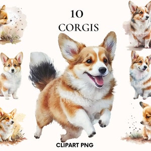 Aquarell Corgis Clipart, süße Welpen Corgis Bundle, Haus Haustier, Aquarell Hund Clipart, druckbare PNG, Scrapbooking, Kartenherstellung