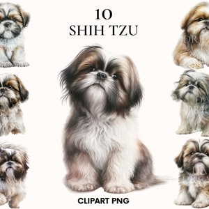 Shih tzu clipart, Cute puppy shih tzu clipart bundle, Pet clipart, Watercolor shih tzu dog clipart, Shih tzu png, Scrapbooking, Junk Journal