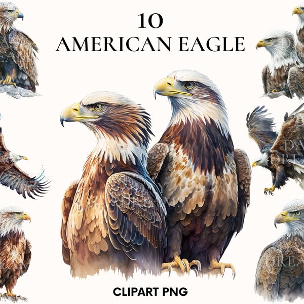 Watercolor eagle clipart, Baby eagle clipart, Bird clipart, Wild animal clipart, American eagle png, Printable PNG, Paper craft