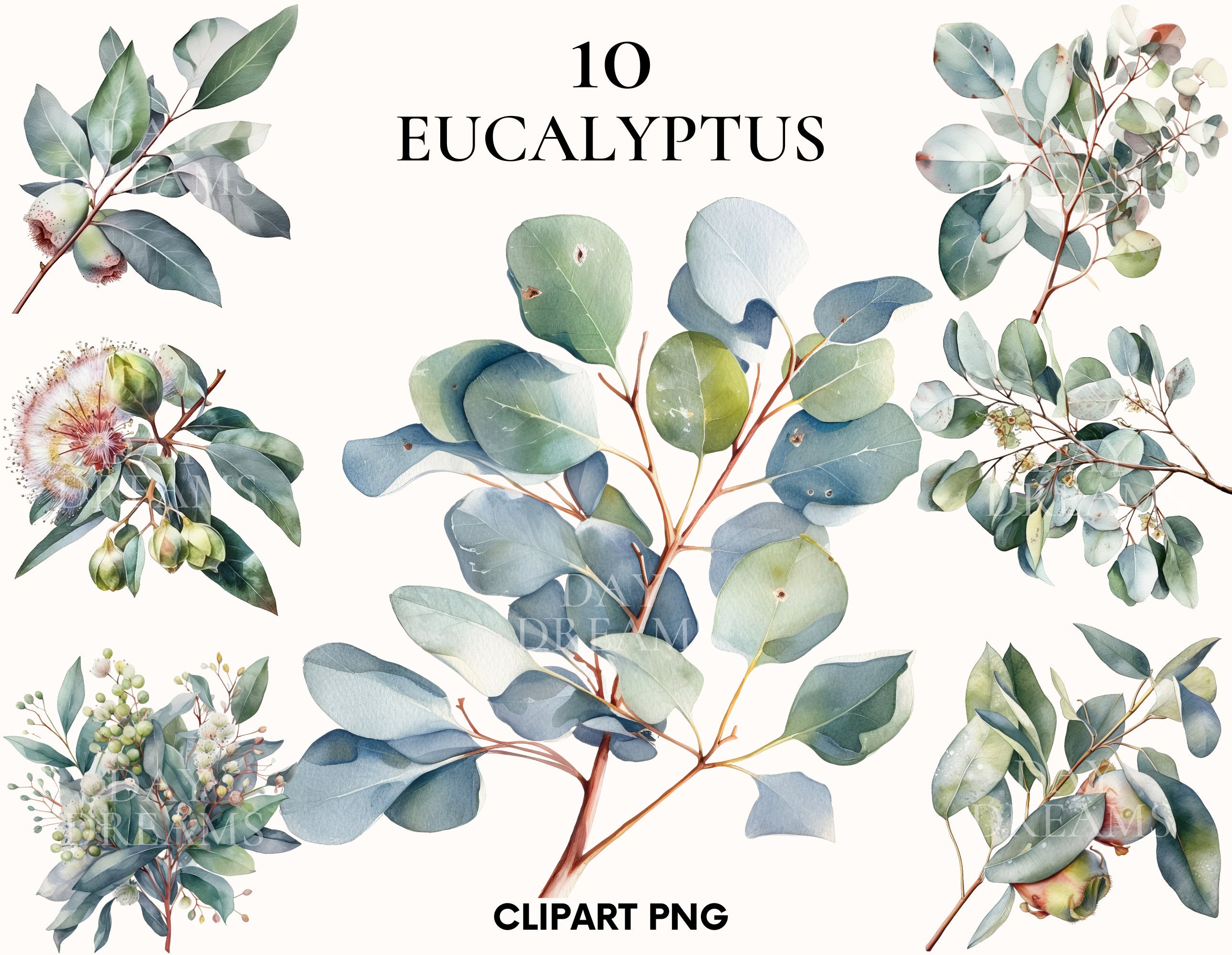 Watercolor eucalyptus clipart, Greenery bouquet clipart bundle, Wedding clipart, Greenery png, Flower and plant, Card making, Scrapbooking