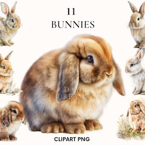 Watercolor bunnies clipart, Cute bunny clipart bundle, Woodland animal, Easter bunny, Watercolor clipart, Fluffy rabbit clipart, Scrapbook