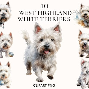 Watercolor west highland terrier clipart, West clipart bundle, Puppy dog clipart, West highland png, Card making, Scrapbooking, Junk Journal