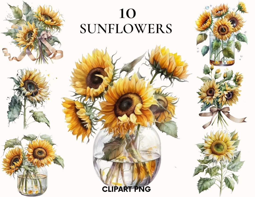 Sunflower Clipart, Farmhouse Clipart Bundle, Watercolor Sunflowers Png ...