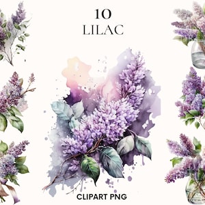 Imágenes Prediseñadas de lila, imágenes prediseñadas de flores de acuarela, imágenes prediseñadas de boda, imágenes prediseñadas de flores de primavera y verano, impresión botánica, PNG imprimible, álbum de recortes