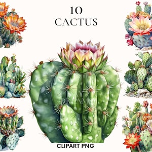 Imágenes prediseñadas de cactus de acuarela, paquete de imágenes prediseñadas de vegetación, imágenes prediseñadas de verano, png de vegetación, imágenes prediseñadas tropicales, png de cactus, fabricación de tarjetas, álbumes de recortes