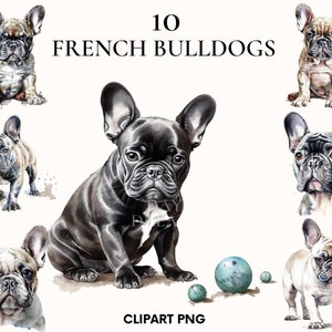 Französische Bulldogge Clipart, süße Welpen Bulldogge Clipart Bundle, Haustier Clipart, Aquarell Hund Clipart, Scrapbooking, Junk Journal, Kartenherstellung