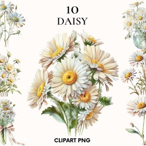 Daisy clipart, Wedding clipart, Spring and summer flowers clipart, Botanical print, Daisy png, Flower PNG, Scrapbook, Card making