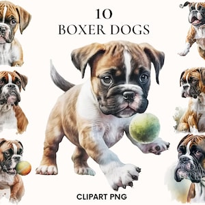 Boxer dog clipart, Puppy boxer clipart bundle, Pet clipart, Watercolor boxer dog clipart, Boxer png, Scrapbooking, Junk Journal