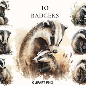 Watercolor badger clipar, Wild badger clipart bundle, Woodland animal clipart, Printable PNG, Sublimation, Paper Crafts, Wall Art, Scrapbook