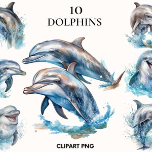 Watercolor dolphin clipart, Dolphins png, Sea animal, Watercolor clipart, Nursery clipart, Card making, Junk Journa, Scrapbooking