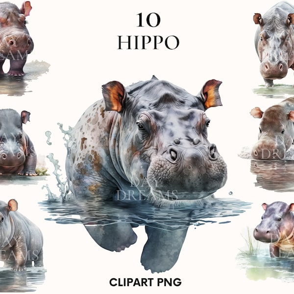 Watercolor hippo clipart, Baby hippo clipart bundle, Wild animals clipart, Free commercial use, Digital design, Scrapbooking