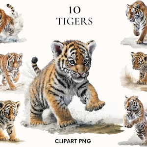 Watercolor tiger clipart, Siberian tiger clipart bundle, Wild animal clipart, Baby tiger clipart, Paper craft, Junk Journal, Scrapbooking